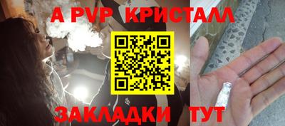 бошки Кингисепп