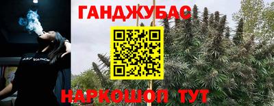 спайс Кинель