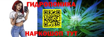 спайс Кинель