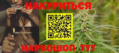 бошки Кингисепп