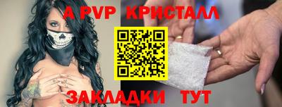 бошки Кингисепп