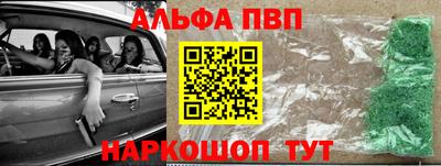 бошки Кингисепп
