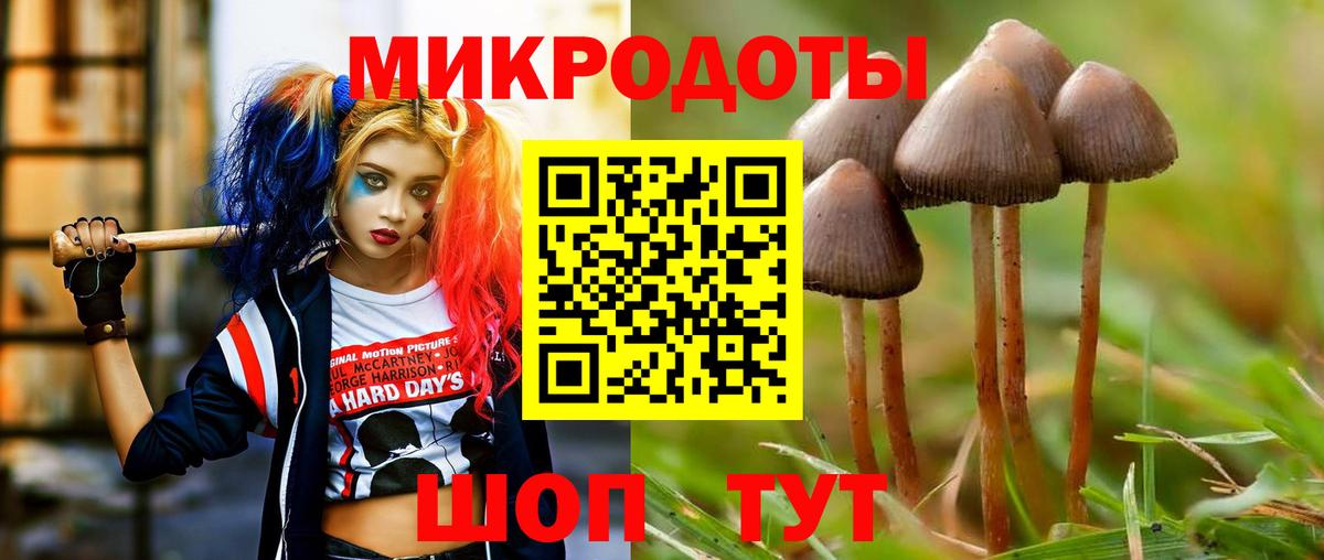 Псилоцибиновые грибы Psilocybine cubensis  Вход с VPN  Галлюциногенные грибы GOLDEN TEACHER  Коряжма 